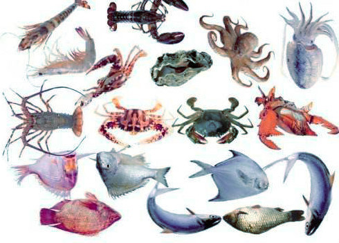 1636090596174144.jpeg 4cee0cc03e894ac4a797ff0dffa9b9fc.jpeg